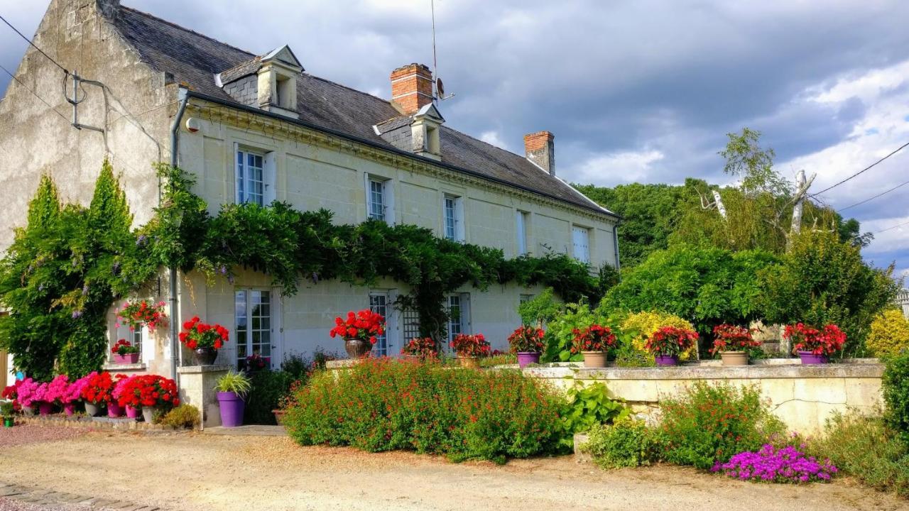 Le Clos Des Berengeries Saint-Patrice Kültér fotó